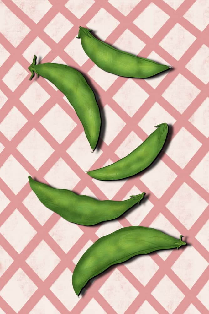 Fresh Green Pea Pods by EMELIEmaria — canvas wall art