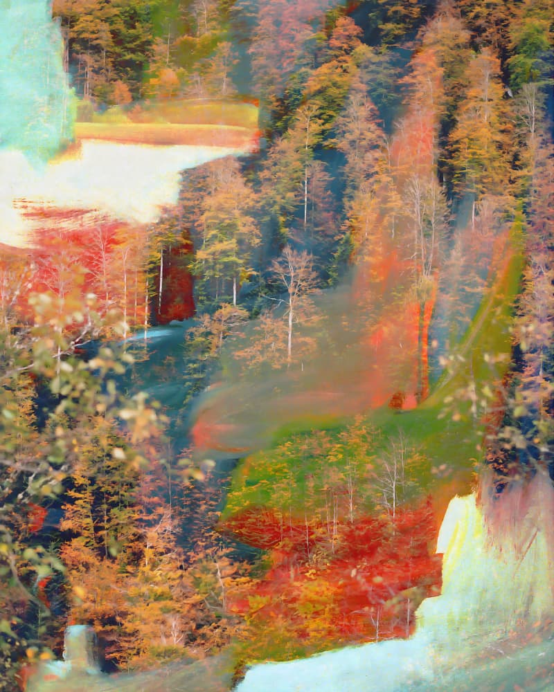Abstract Autumn Forest Dream by Uma Gokhale — canvas wall art