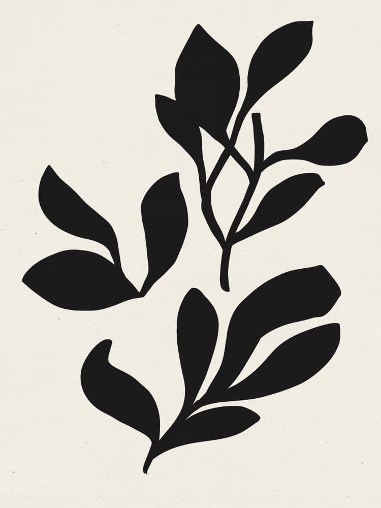 Silhouette Leaves by Treechild — canvas wall art