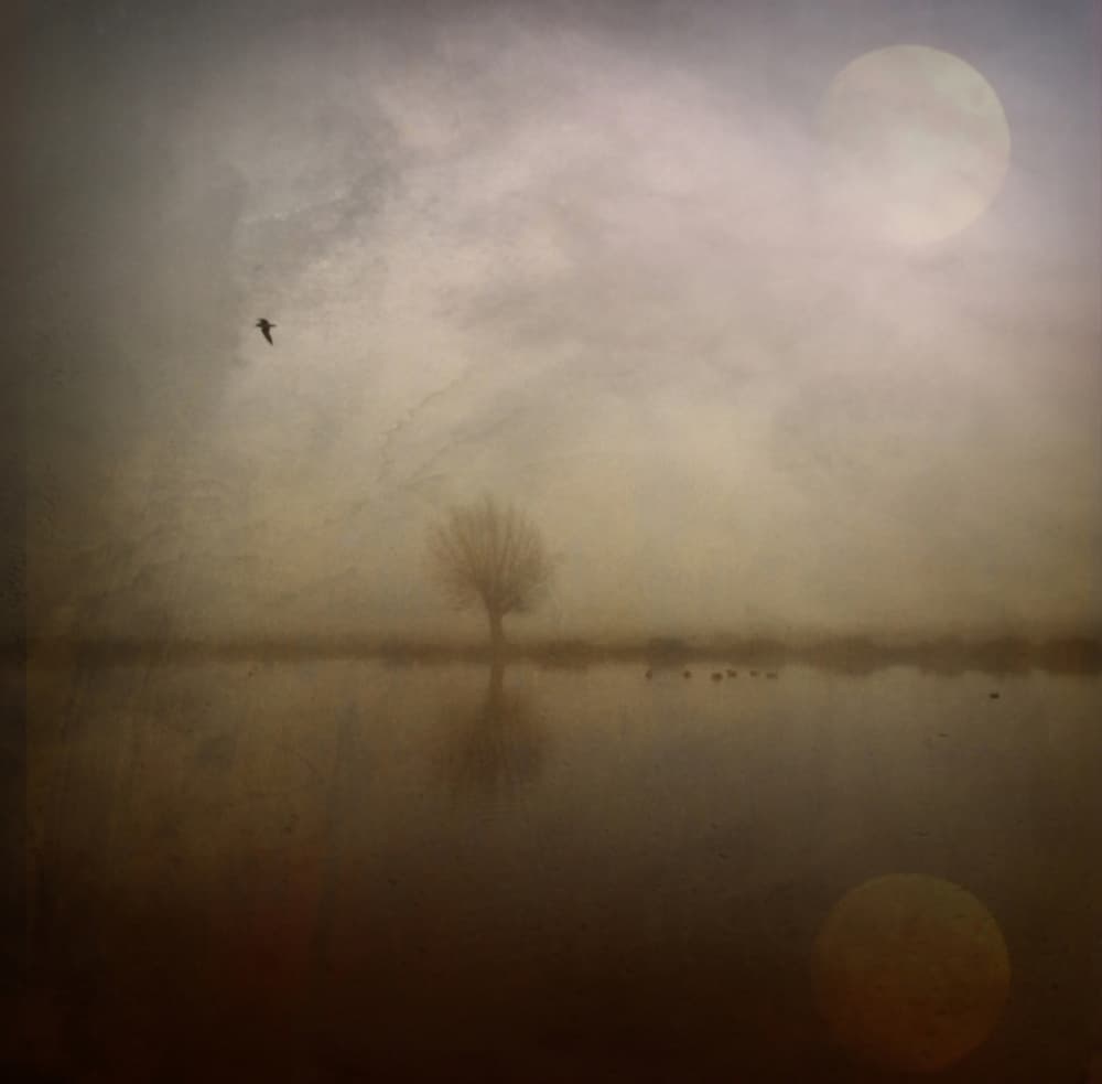 Misty Moonlit Solitude by Robert Fabrowski — canvas wall art