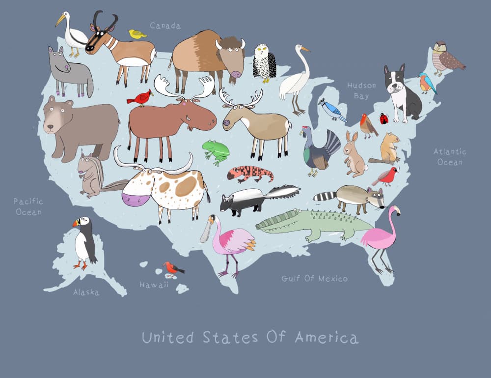 United States Animals Map by Carla Daly — canvas wall art