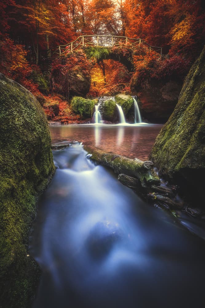 Vibrant Autumn Forest Bridge by Jean Claude Castor — canvas wall art