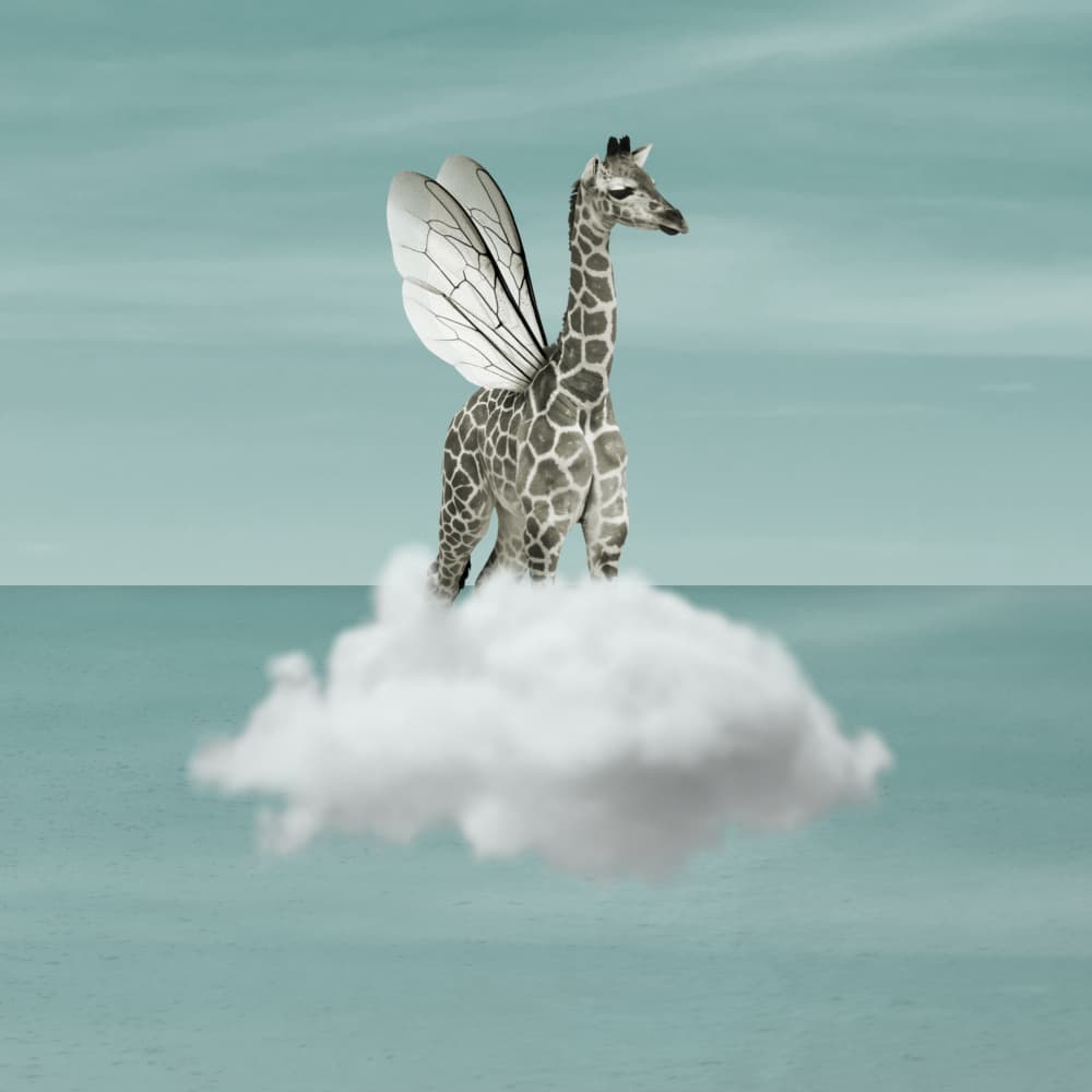 Whimsical Flying Giraffe by Marja van den Hurk — canvas wall art