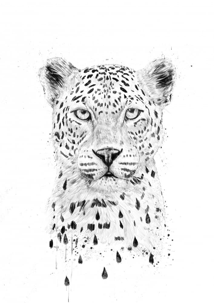 Wild Leopard Drip Art by Balazs Solti — canvas wall art