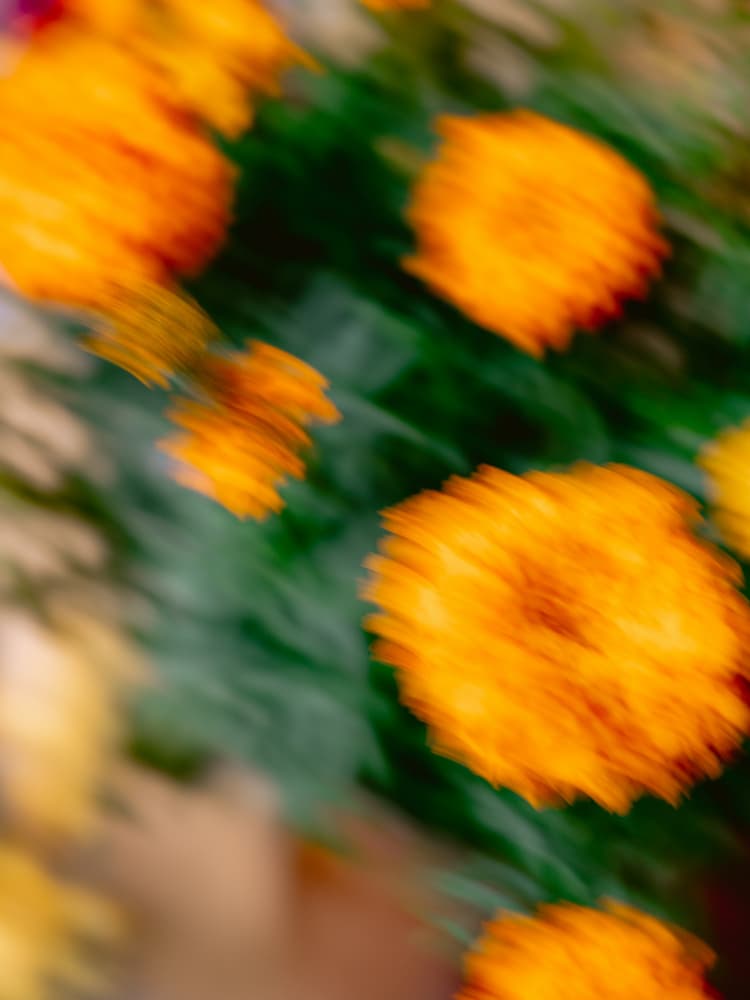 Energy Orange II by Raisa Zwart — canvas wall art