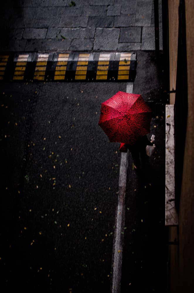 Rainy Day Red Umbrella by Flavio Bertazzi — canvas wall art