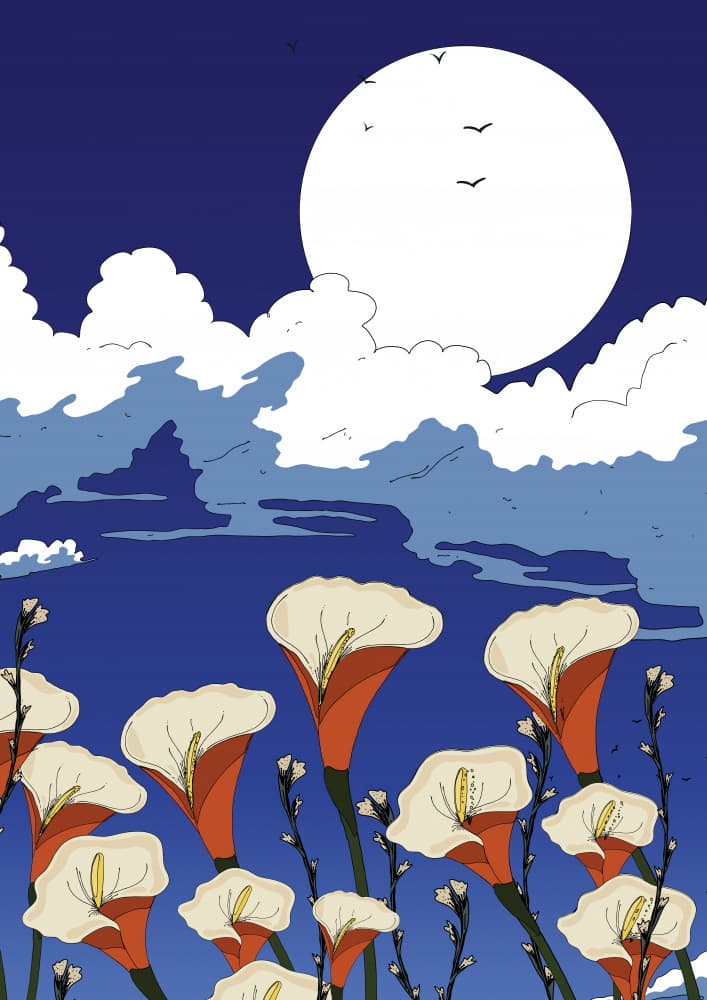 Moonlit Calla Lilies by Nicholas — canvas wall art