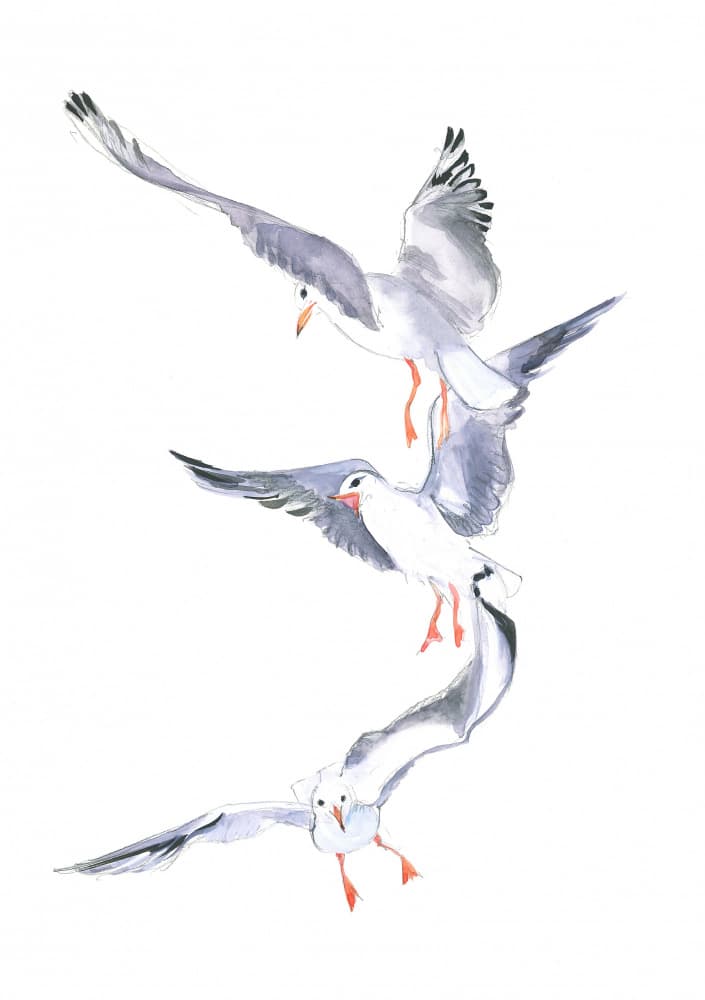 Seagull Flight by Isabelle Brent — canvas wall art