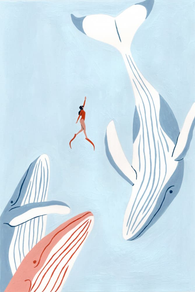 Woman And Whales Swim
