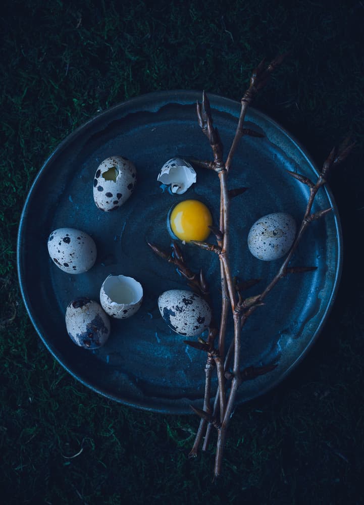 Moody Quail Eggs by Karina Aleksandrova — canvas wall art