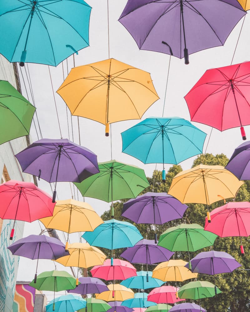 Colorful Umbrellas by Tom Windeknecht — canvas wall art