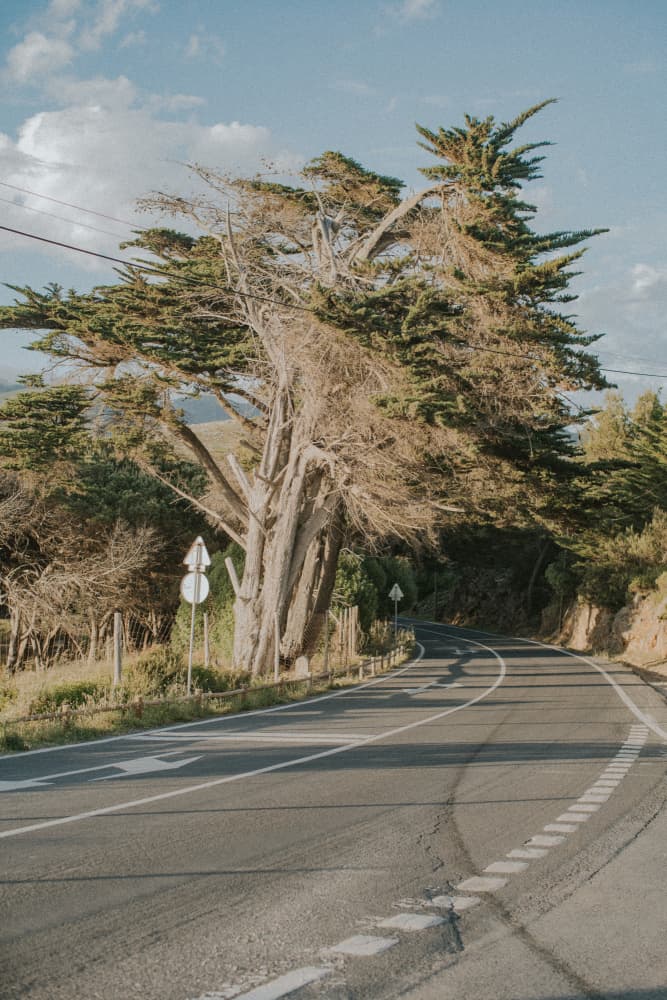 Winding Coastal Road by Claudia Casal — canvas wall art