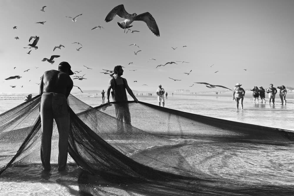 Fishermen and Soaring Gulls by Josefina Melo — canvas wall art