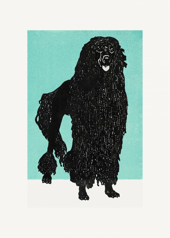Poodle by Moriz Jung — canvas wall art