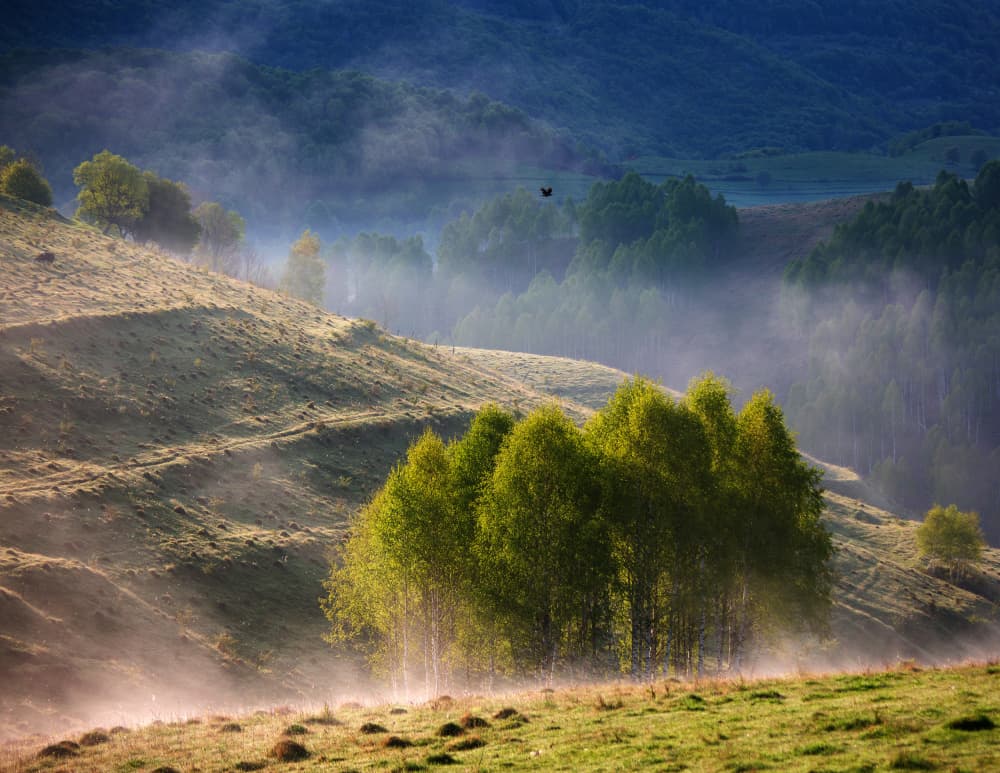 Misty Morning Hills by Panaana — canvas wall art