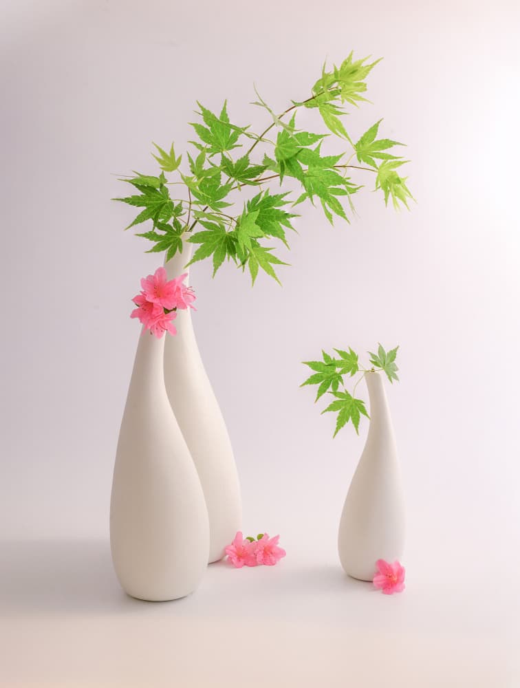 Green Leaves Pink Flowers by Alice Sheng — canvas wall art