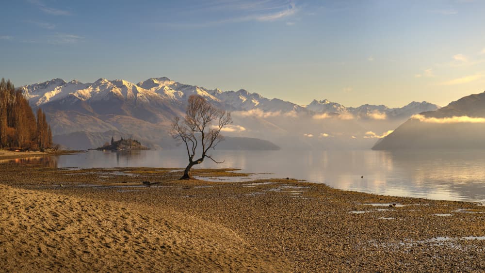 Wanaka Tree Winter Morning by Emanuel Papamanolis — canvas wall art