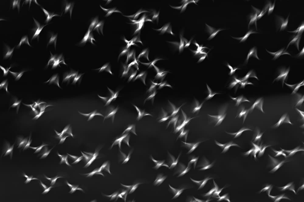 Floating Luminous Shapes