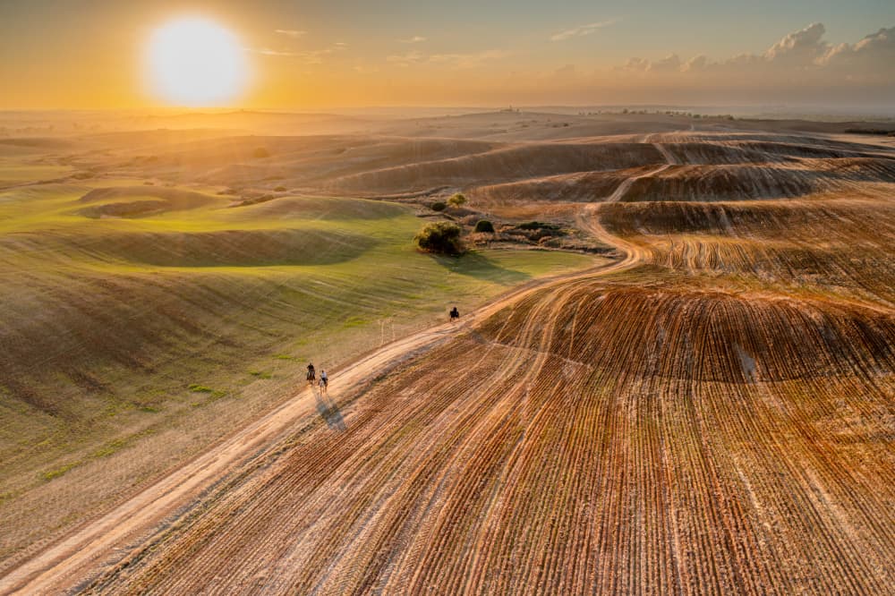 Sunset Field Path by Or Adar — canvas wall art