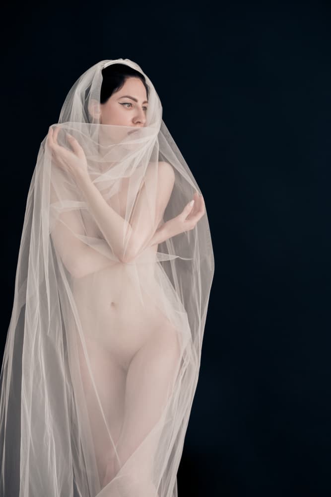 Sensual Veiled Woman by Zanna — canvas wall art