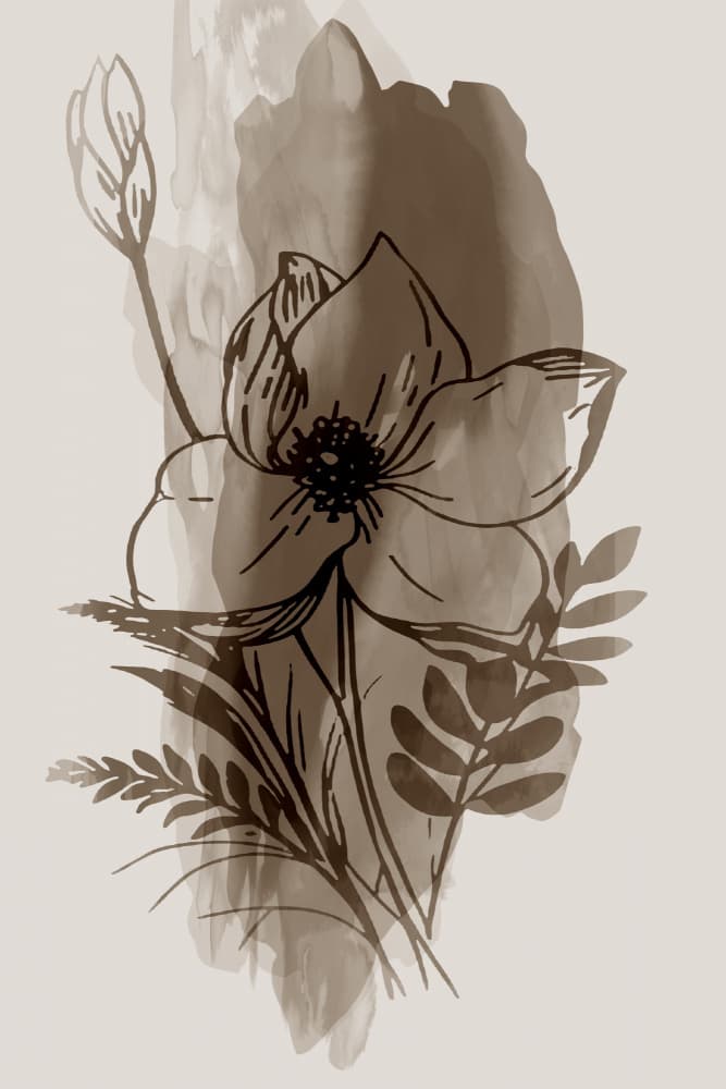 Modern Botanical Drawing by cartissi — canvas wall art