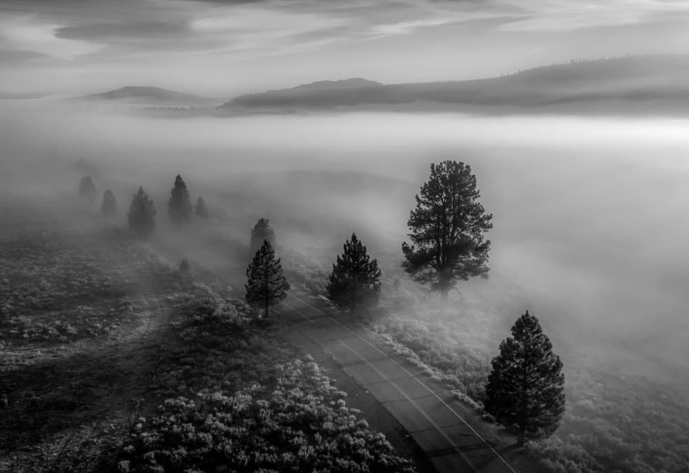 Road Through The Fog by Rob Darby — canvas wall art