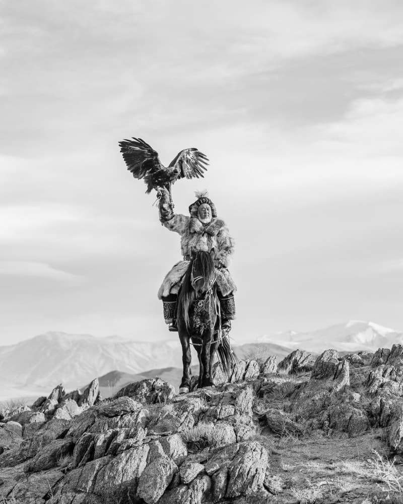 Eagle Hunter on Horseback by ADIREK M — canvas wall art