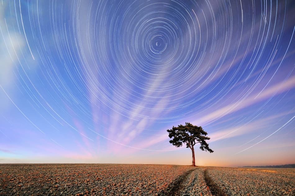Star Trails Over Lone Tree by Adam Brzuszek — canvas wall art