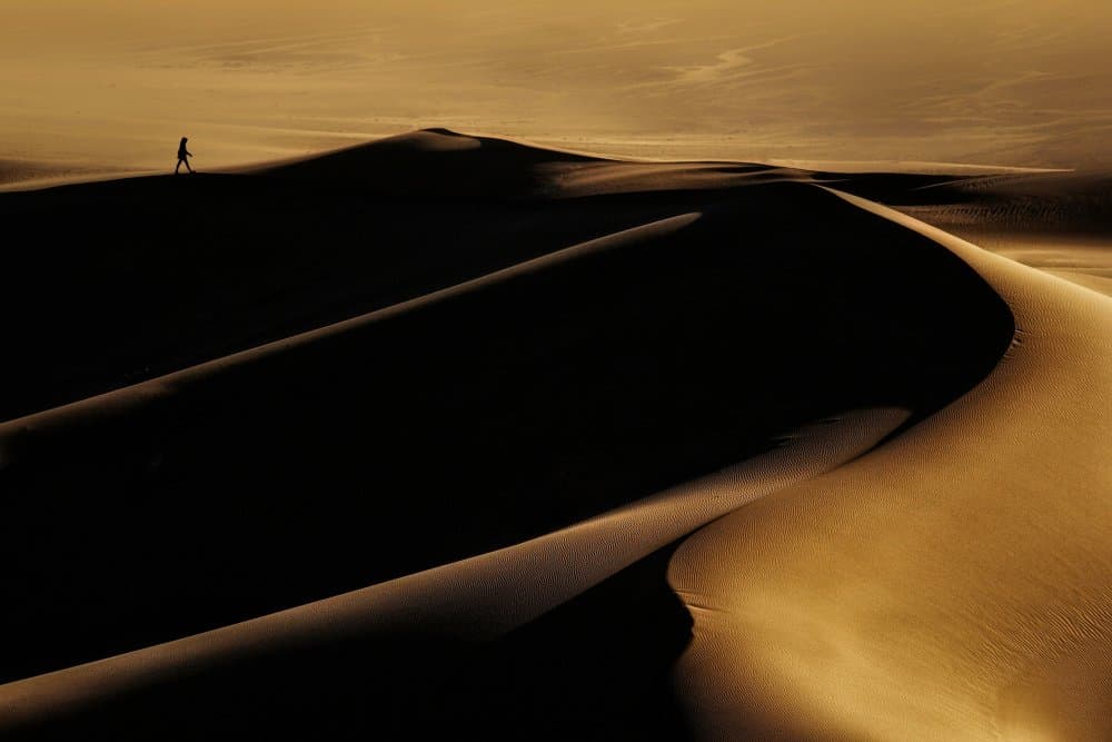 Solitary Dune Walker by Mohammad Fotouhi — canvas wall art