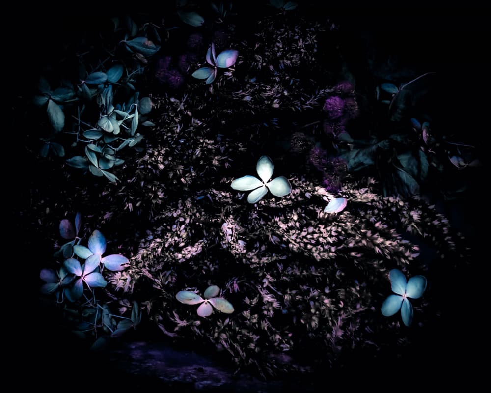 Ethereal Night Garden by Michele Frechette — canvas wall art