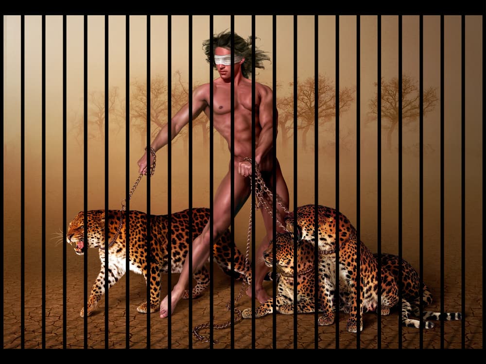 Blindfolded Man with Leopards by DDiArte — canvas wall art