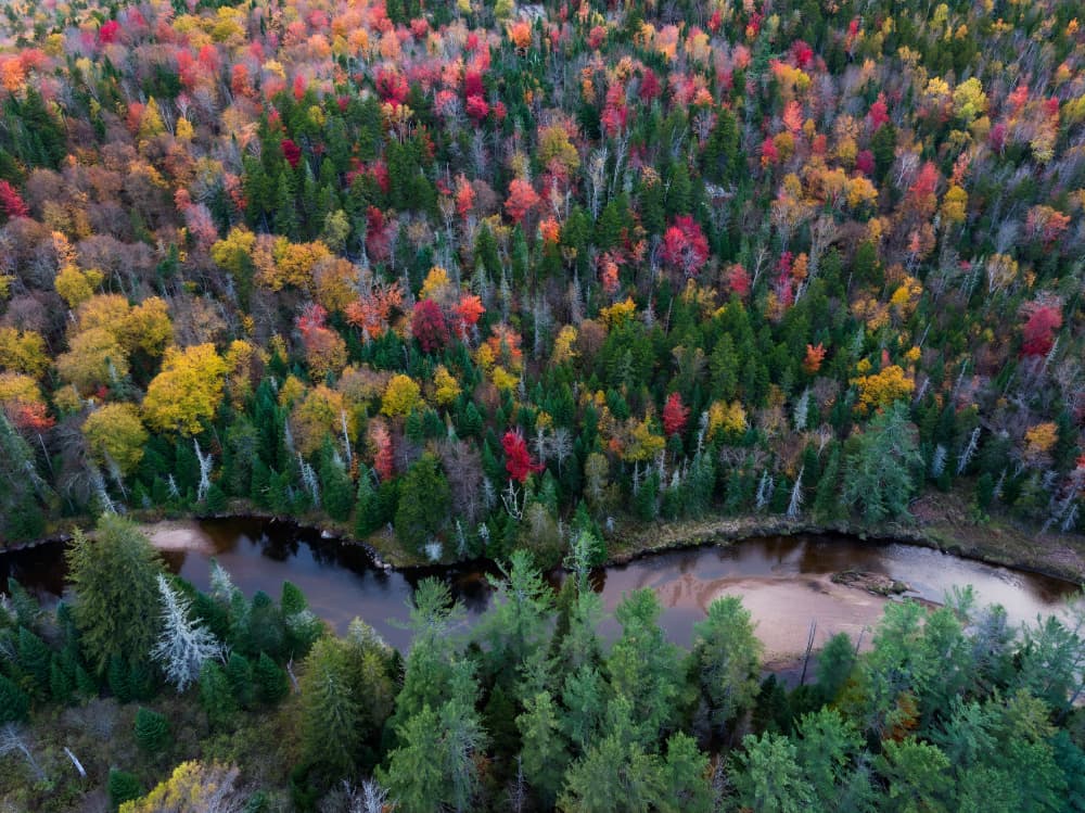 Vibrant Autumn River Forest by HuongHoang — canvas wall art