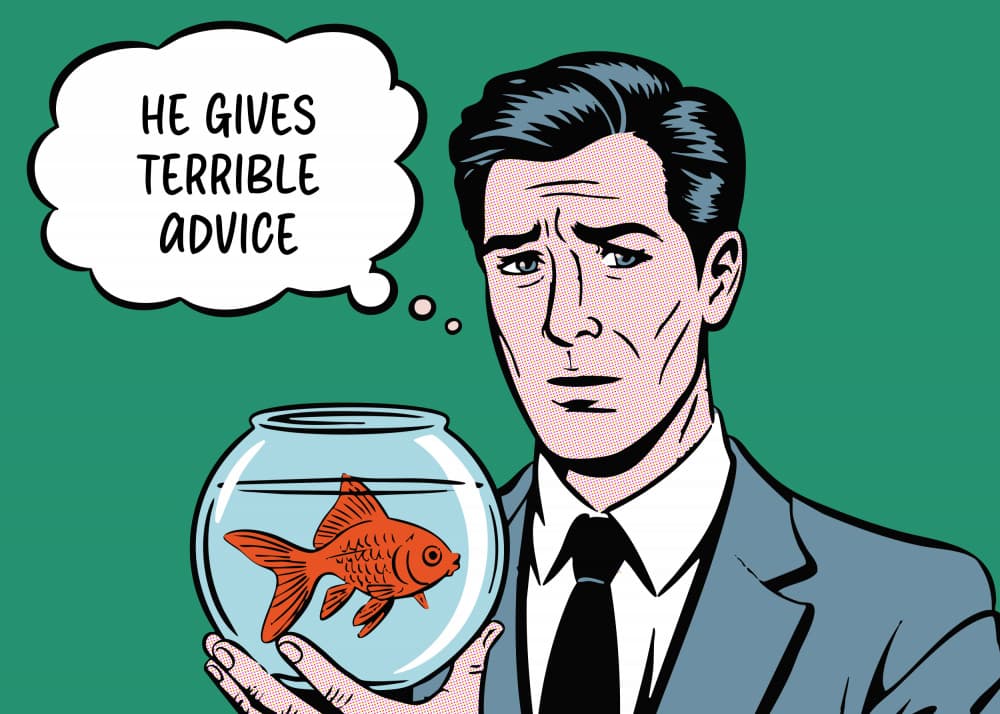 Goldfish's Terrible Advice