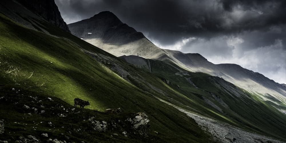 Lone Cow Mountain Light by Vito Guarino — canvas wall art