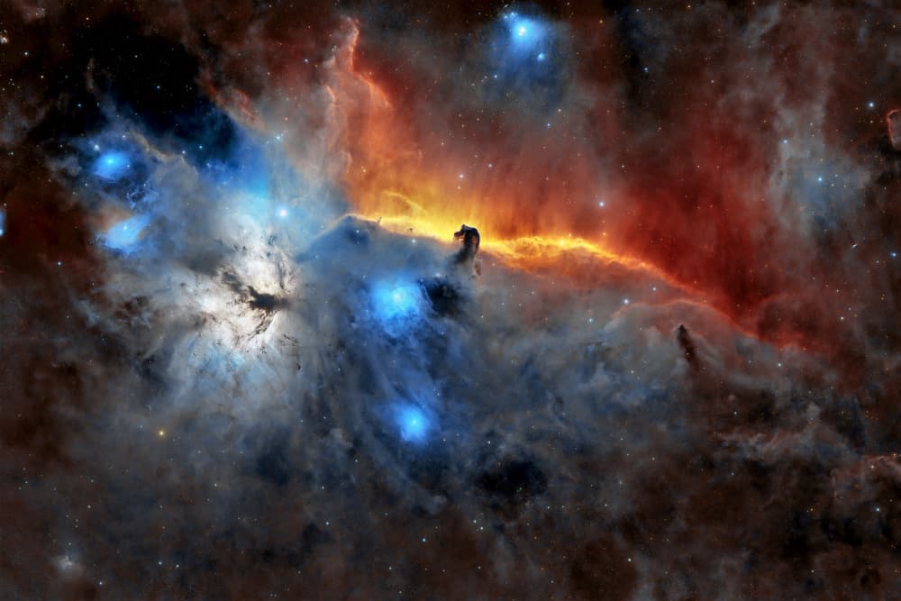 Cosmic Horsehead Nebula by Jose Maria D. Barba — canvas wall art