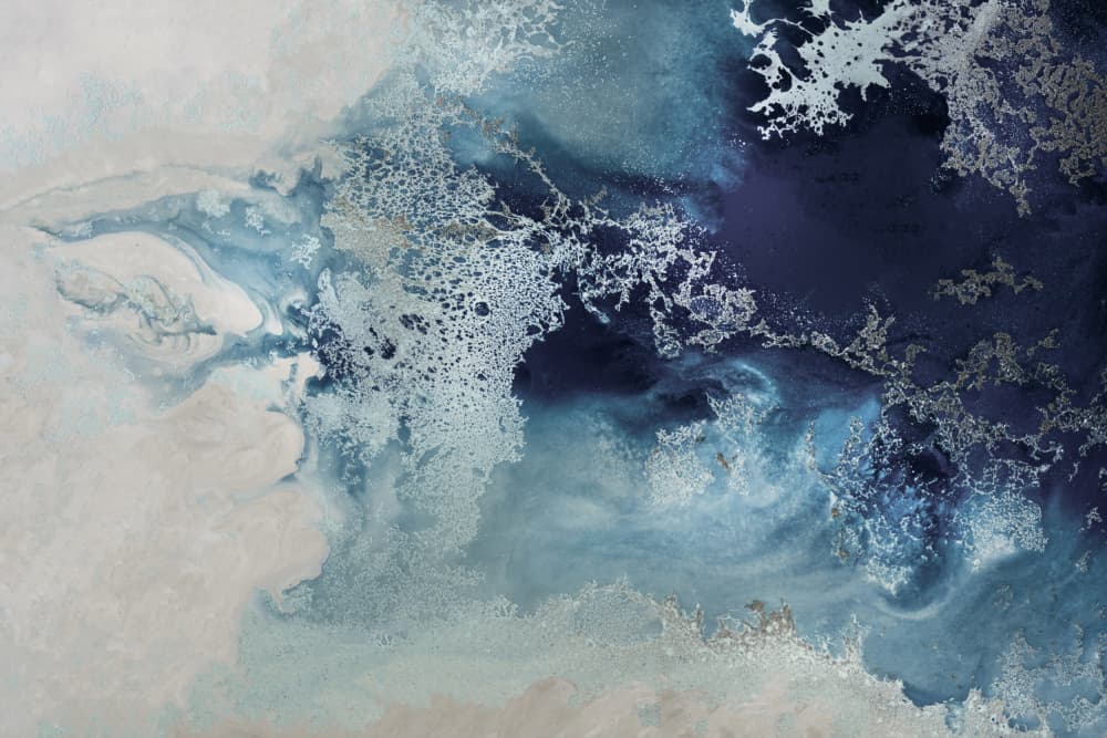 Coral Whispers by Petra Meikle de Vlas — canvas wall art