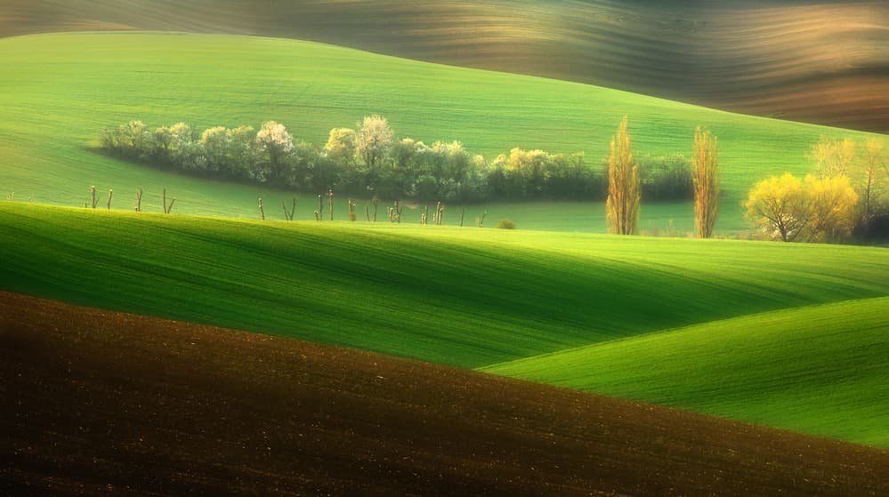 Green Fields Serenity by Krzysztof Browko — canvas wall art