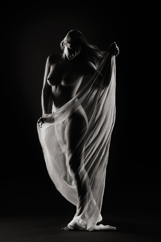Graceful Sheer Silhouette by Shades and Light — canvas wall art