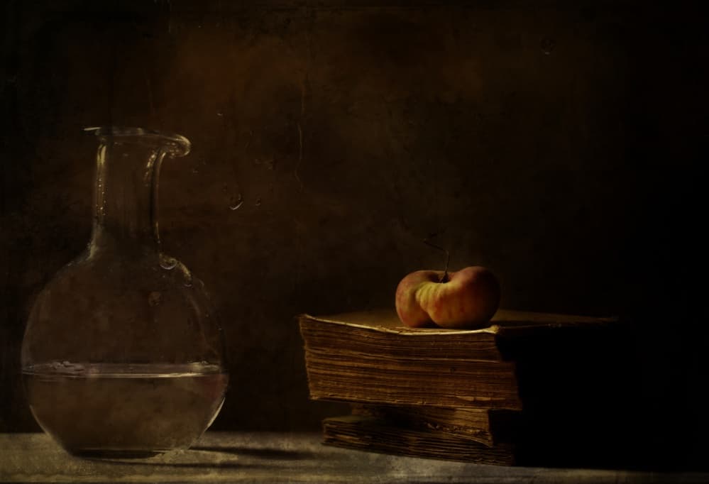 Classic Moody Still Life by Delphine Devos — canvas wall art