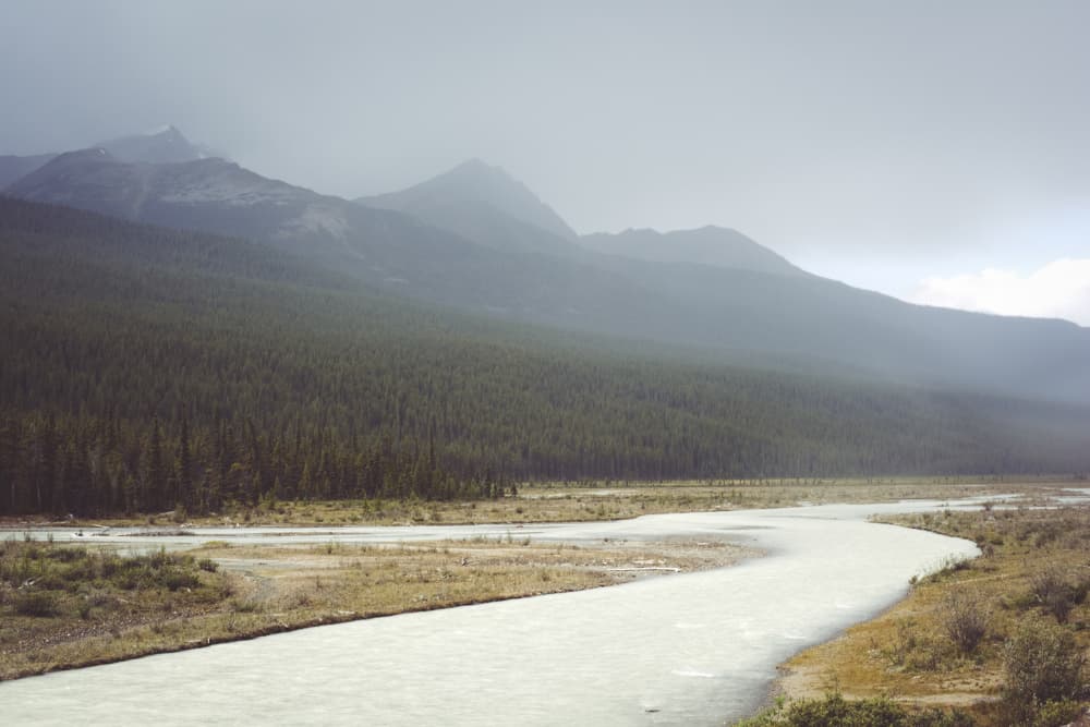 Misty Mountain River by Lynann Colligan — canvas wall art