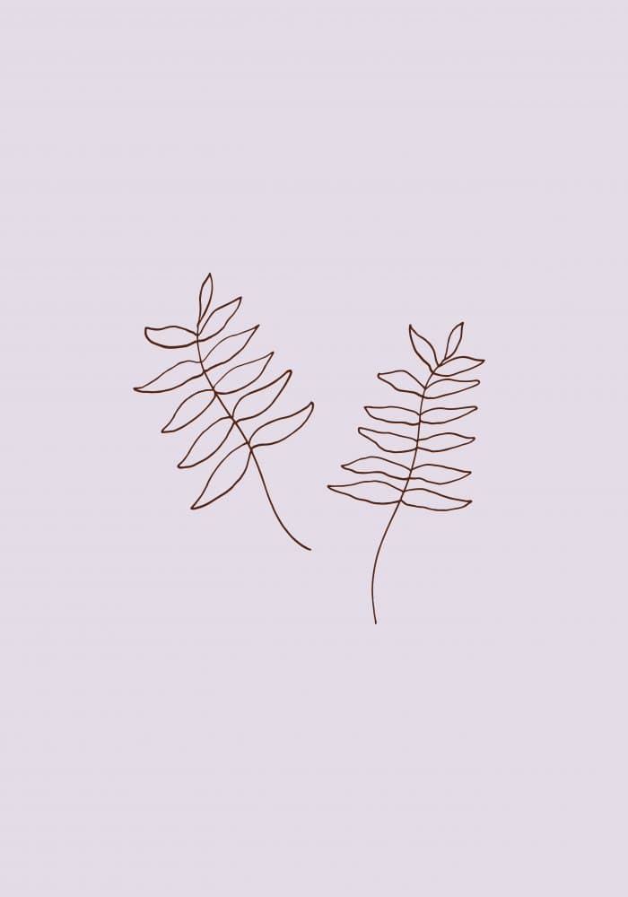 Delicate Botanical Lines by Pictufy Studio — canvas wall art