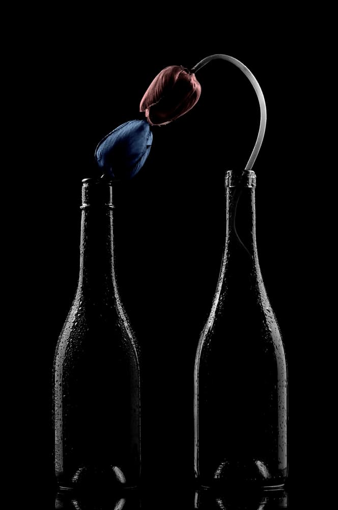 Kissing Flower in the dark by Edy Pamungkas — canvas wall art
