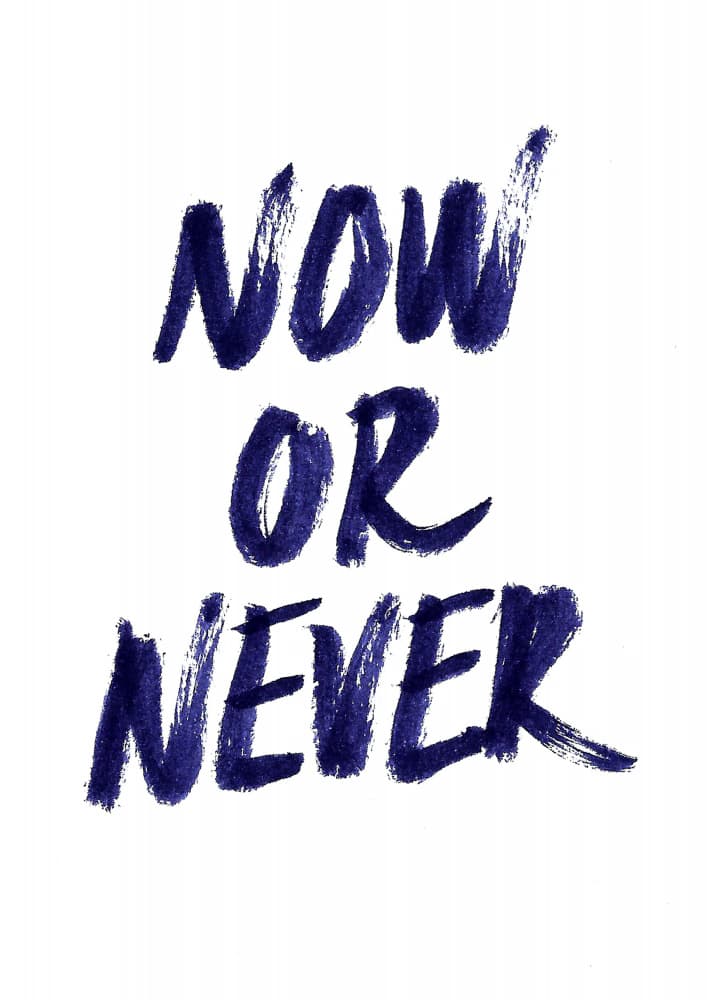 Now Or Never by Robert Farkas — canvas wall art