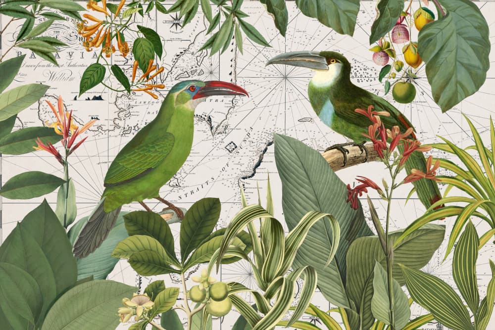 Tropical Birds Vintage Map by Andrea Haase — canvas wall art