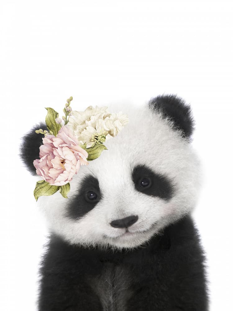 Sweet Panda Flower Crown by Lila &amp; Lola — canvas wall art