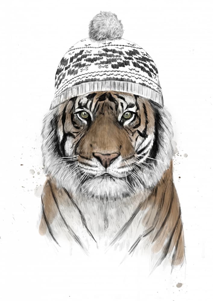 Stylish Tiger Beanie by Balazs Solti — canvas wall art