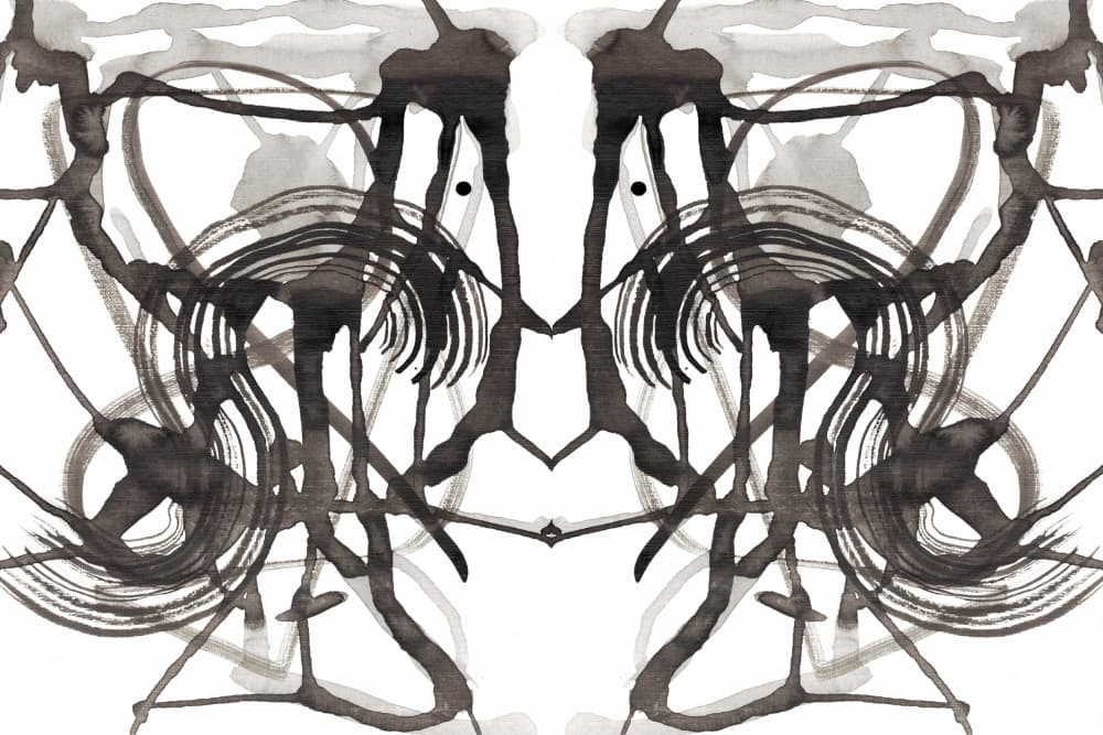 Abstract Inkblot Symmetry by Jemma Morris — canvas wall art