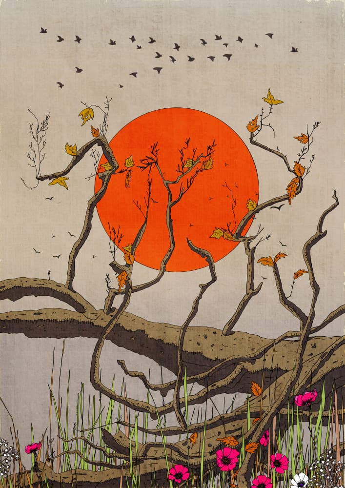 Autumn Sun Over Branches by Nicholas — canvas wall art