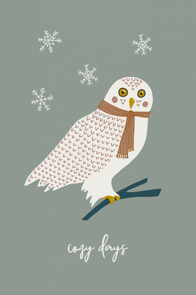 Cozy Winter Owl by Alexandra Weise — canvas wall art