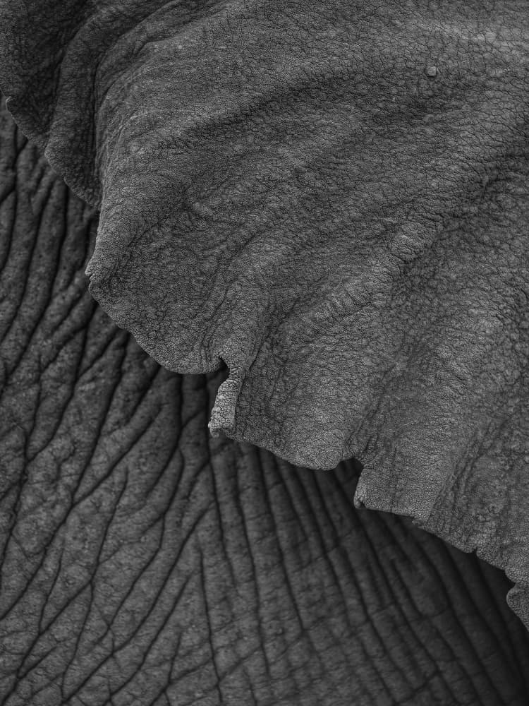 Wrinkles of Time by Shot by Clint — canvas wall art